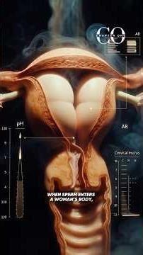 The Most Important Race You Ever Won (Before You Were Born)