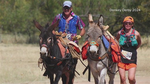 Donkey derby dashes back: Arizona gears up for 5th annual race