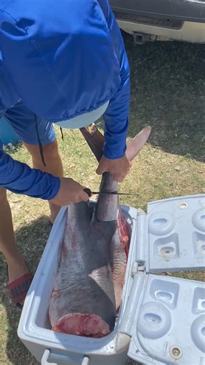 Must watch as we make a paddlefish jump rope 😂😂 As always first seen here | Keystone Lake Paddlefish Charters