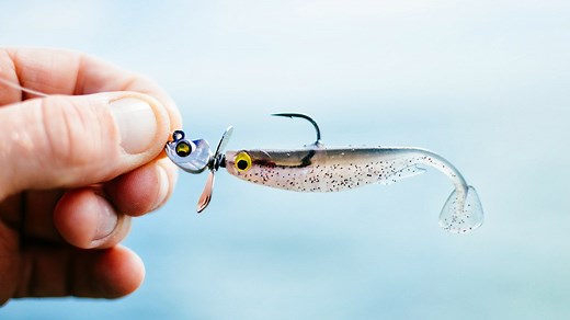 Learn the intricacies of the Megabass Okashira Screwhead and Okashira head with Chris Zaldain - Updated details on the newer head such as Megaslide fluorine-coated hook and hand wrapped keeper. -Trailer selection. Differences between the Spark Shad and The Hazedong Shad and when to use each. -Correct rigging methods, as well as how to fish the Megabass Okashira Screwhead. - Which types of fisheries to utilize this finesse swimbait method. For more on each of these baits, please check the links b