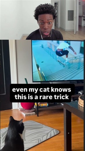 even the cat knows this is rare trick
