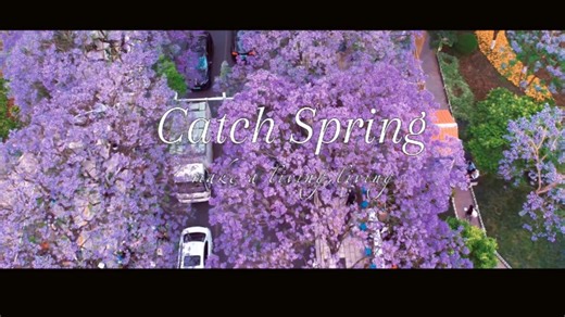 Catch spring