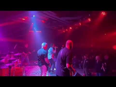 I am a Tree - Guided by Voices cover by Bright Paper Werewolves