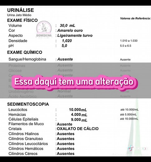 Como interpretar seu exame de urina: guia completo