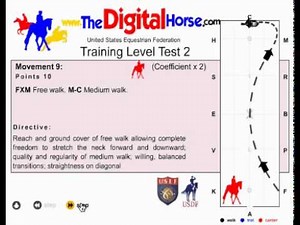 USEF Training Level 2 2011 Dressage Test
