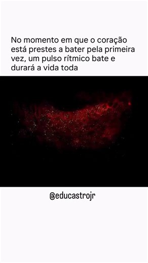 Eduardo de Castro on Instagram: "Antes mesmo de um coração bater, a vida se organiza em silêncio. ⚡🧬 Cientistas capturaram o exato momento em que as células cardíacas se auto-organizam em um ritmo elétrico coordenado, segundos antes do primeiro batimento cardíaco. Nesse estágio, ainda não existe câmara cardíaca. Em vez disso, milhares de células se sincronizam eletricamente, formando uma onda que desencadeia a primeira contração e estabelece um ritmo que continuará por décadas. Usando proteínas