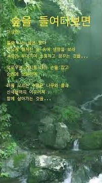 숲을 들여다보면 🎶 Secret Garden - Adagio