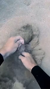 Pulling a Mysterious String Underwater… It’s Stuck in the Sand