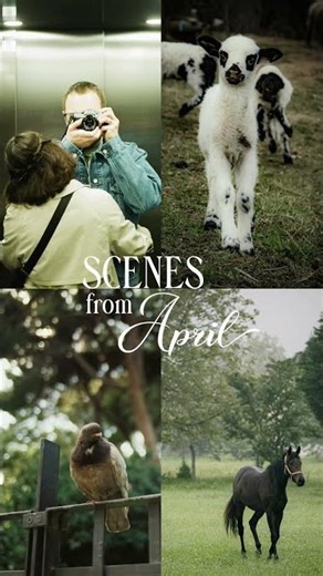 April monthly recap idea 🌱 #inspo #tutorial #howto