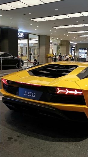 Lamborghini Aventador S Cold Start Up