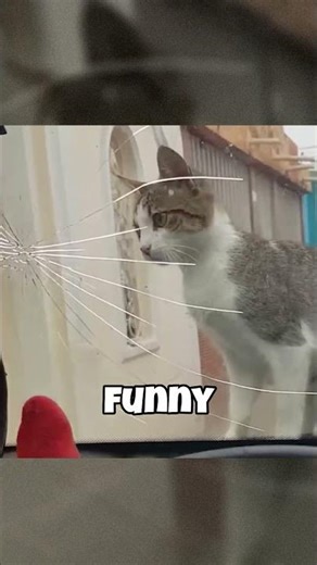 Most Satisfying Instant Regret Moments