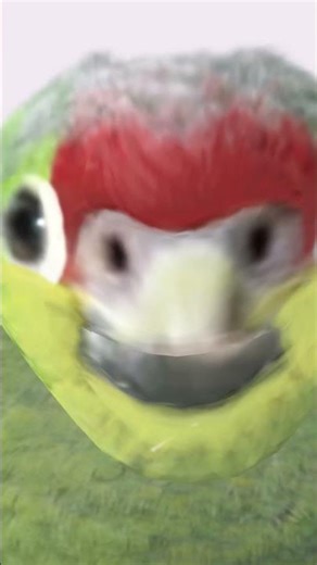 POV ich bin imp in among us