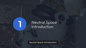 Rabbit Bonding Activities