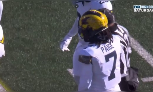 Steelers Sign Safety To Offseason Roster