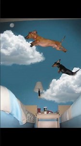 Cursed images #shorts #memes #shortmemes #discord #funny