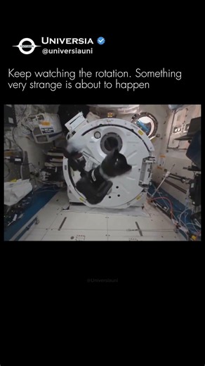 This Object Flips Itself in Space… and Physics Explains Why