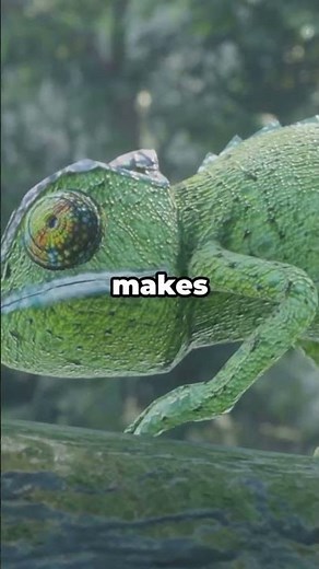 The Animal That Changes Color for More Than Just Camouflage