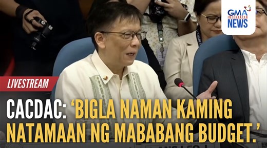 The House Committee on Appropriations held a session last Friday, September 12, to discuss the proposed 2026 budget of the Department of Migrant Workers (DMW). COURTESY: House of Representatives of the Philippines/Facebook | GMA News