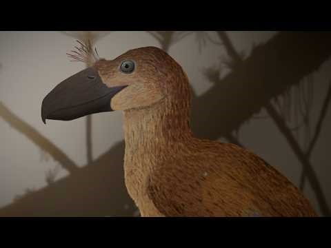 Eschatornis - The Last Terror Bird