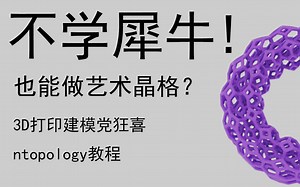 不学犀牛如何做出好看的晶格(ntopology教程)