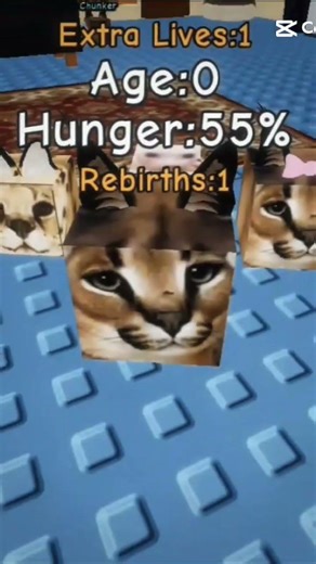 Raise a Floppa #roblox #shorts #cat
