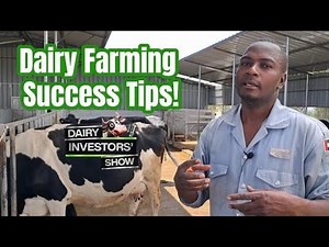 Dairy farming is profitable: Learn A to Z on how to run a successful dairy farm #livestockhousing #