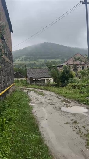 Կուրթան 🪵 | Հերմինե Ավանեսյան