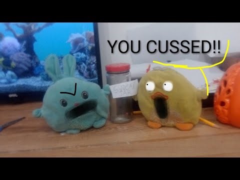 The swear jar 🫙! Warning This may contain swears ⚠️!