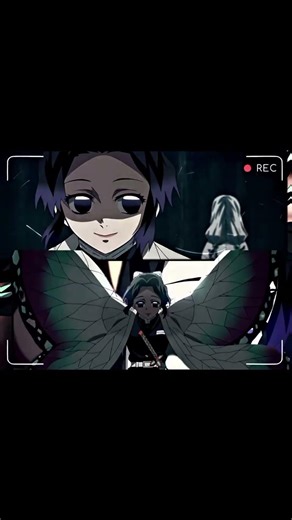 Which pillar in ghost slayer has captivated you?