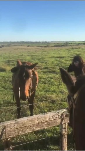 Nadia Machín on TikTok