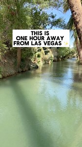 Where should I go next 🤩🤩🤩 #palmcreekranch #moapa #rvcamp #grill #swimming #daytripsfromlasvegas #lasvegas #paradise #henderson #summerlin #lasvegasvlogger #nevada #vegasactivity #vegaslocal #travel #vacation #latina #hispaniccreator #vegascreator #foodie #foodcreator #foodvlogger | Las Vegas Chicas