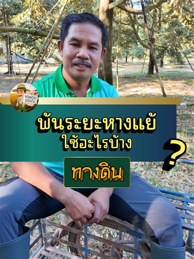 การดูแลดินหลังพ้นระยะหางแย้