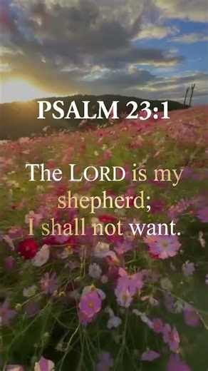 THE LORD IS MY SHEPHERD | PSALM 23:1 #ingodwetrust #jesuslovesyou
