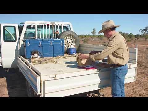 Goat Nutrition - Part 1: Nutrition Introduction and Determining Forage Supply | Going into Goats