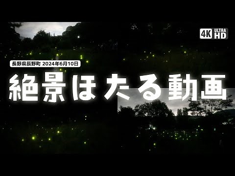 日本一の蛍の里・辰野町の美しい蛍たち - 4K癒しの自然動画