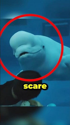 BELUGA TRIED TO SCARE the kids… but they roasted him with laughter 😭🐋