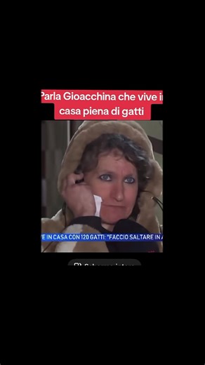 Video di Gipsy (@gipsyostia) con Frolic - Theme from Curb Your Enthusiasm - Luciano Michelini