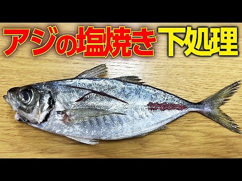 【 簡単 ・ 下処理 】あじ の 塩焼き を 美味しく ふっくら 仕上げる 方法 【 魚料理教室 ・ せり人ムタロー 】