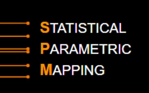 【官方课程】SPM Course Videos for fMRI/PET/VBM (May 2011)