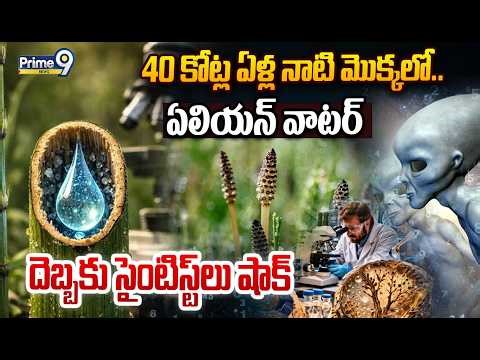 Alien Water in Ancient Plant :40 కోట్ల ఏళ్ల నాటి మొక్కలో ఏలియన్ వాటర్ - దెబ్బకు సైంటిస్ట్‌లు షాక్
