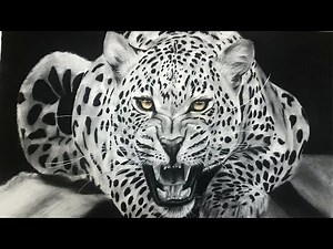 HOW TO DRAW A REALISTIC LEOPARD STEP BY STEP