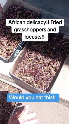 Fried Grasshoppers and Locusts: A Unique African Delicacy