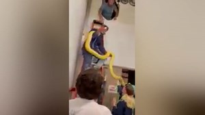 12-foot python missing from mall aquarium has been found