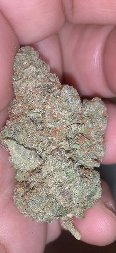 Guava Cake | Marijuana Strain Reviews