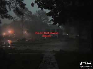 𝟑𝟎𝟑 𝐑𝐢𝐳𝐤𝐲. (@rizzlyrics_) - The Cut That Always Bleeds by Conan Gray