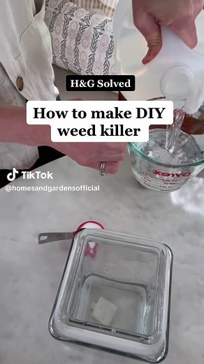 DIY Natural Weed Killer Recipe with Household Staples