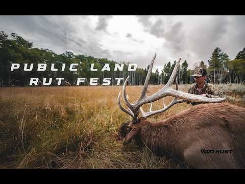 24 Minutes of INSANE ELK RUT ACTION! | Wyoming Public Land Elk Hunting
