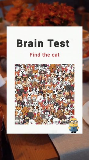 Can You Find the Cat? Brain Test Challenge