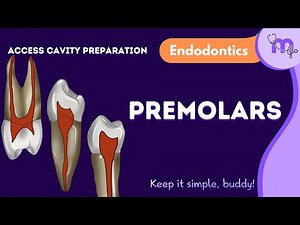 Access Cavity Preparation of Maxillary & Mandibular Premolars | Endodontics | Animated Explanation
