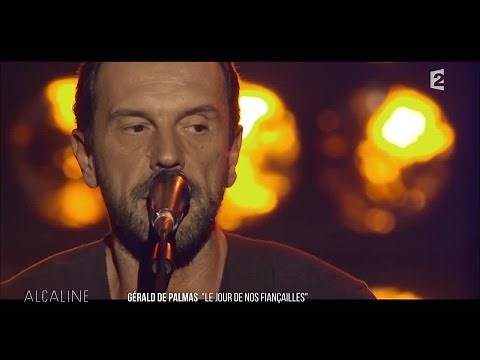 Alcaline, Le Concert - Gérald de Palmas
